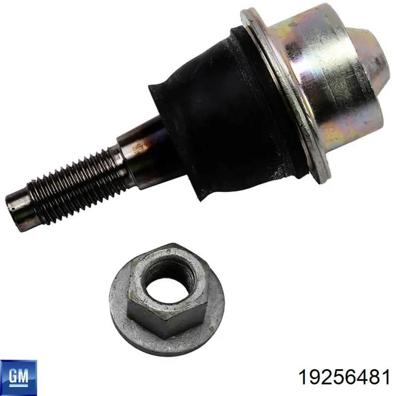 Кульова опора, нижня General Motors 19256481 ціна, від 56.28 USD