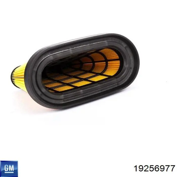 Повітряний фільтр 19256977 General Motors