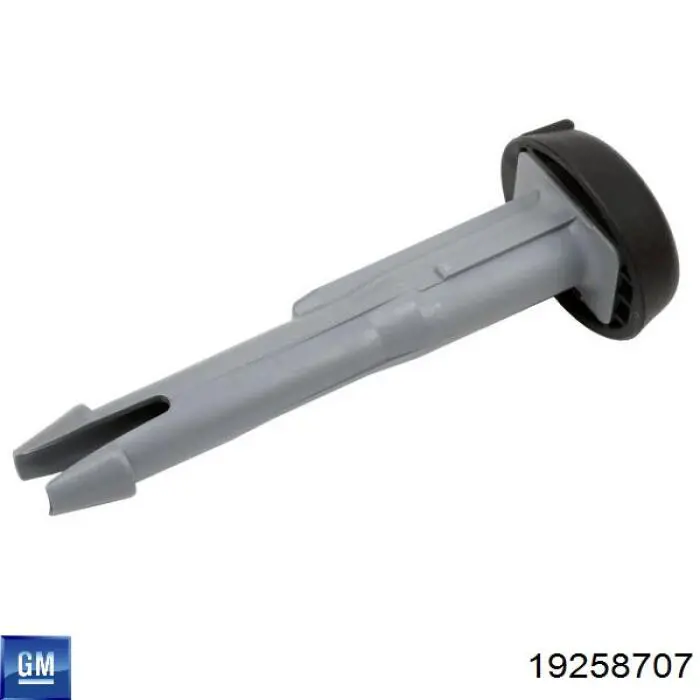 Купити 19258707 General Motors 