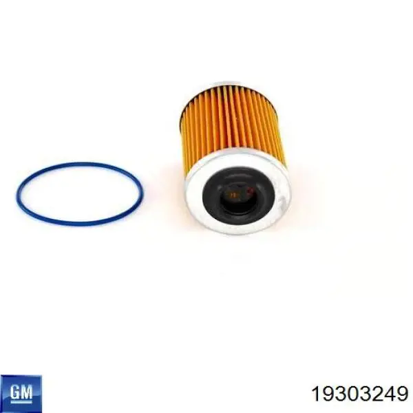 Купити 19303249 General Motors 