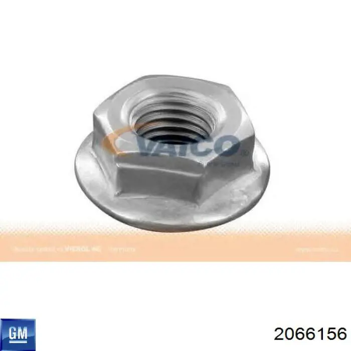 Купити 2066156 General Motors Гайка кріплення приймальної труби глушника (штанів)
