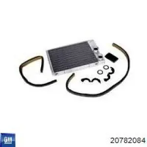 Радіатор пічки (обігрівача) General Motors 20782084 ціна, від 17.15 USD