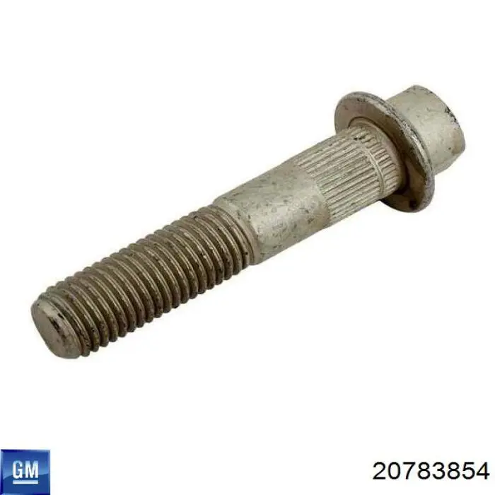  General Motors 20783854