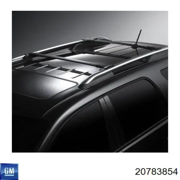 Купити 20783854 General Motors 