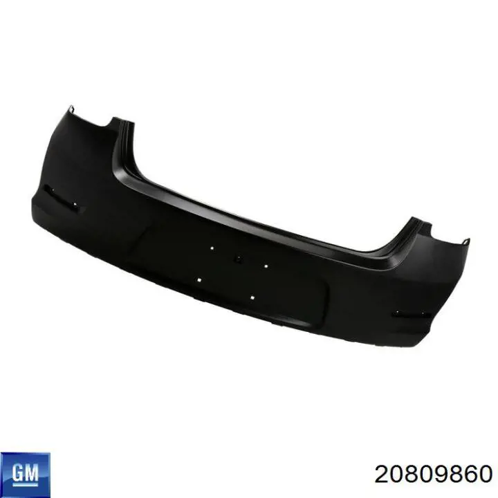 20809860 General Motors 