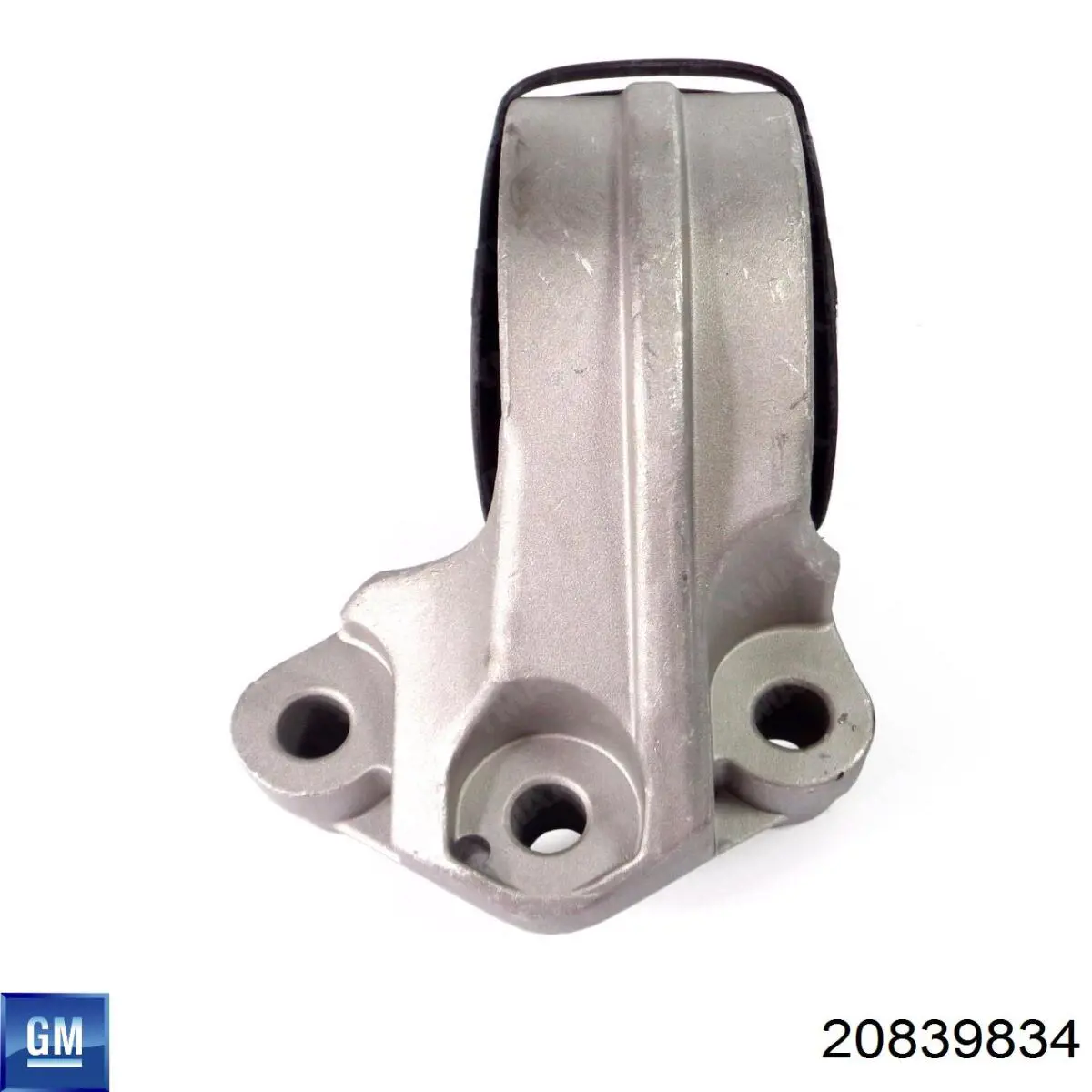 Купити 20839834 General Motors 
