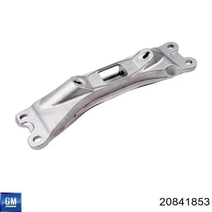 20841853 General Motors 