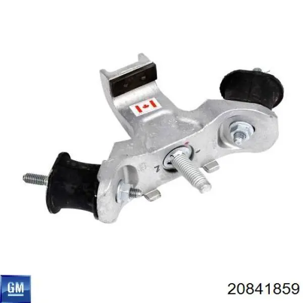 20841859 General Motors 