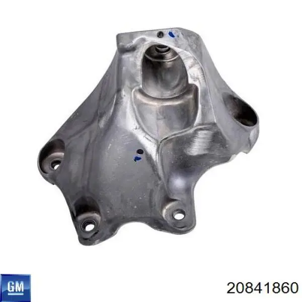 20841860 General Motors 