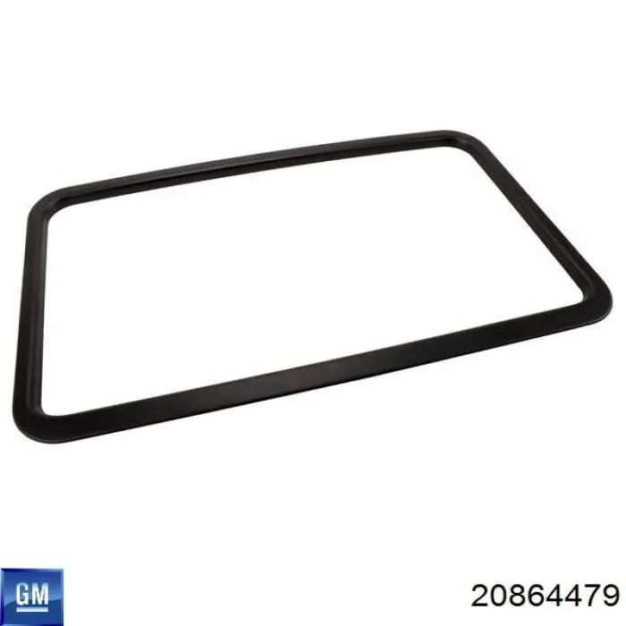 Купити 20864479 General Motors 