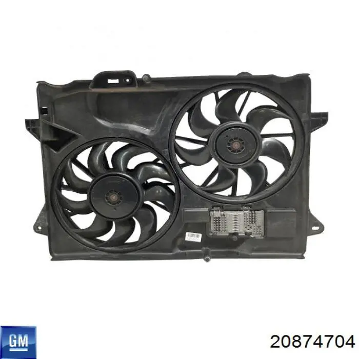 20874704 General Motors 