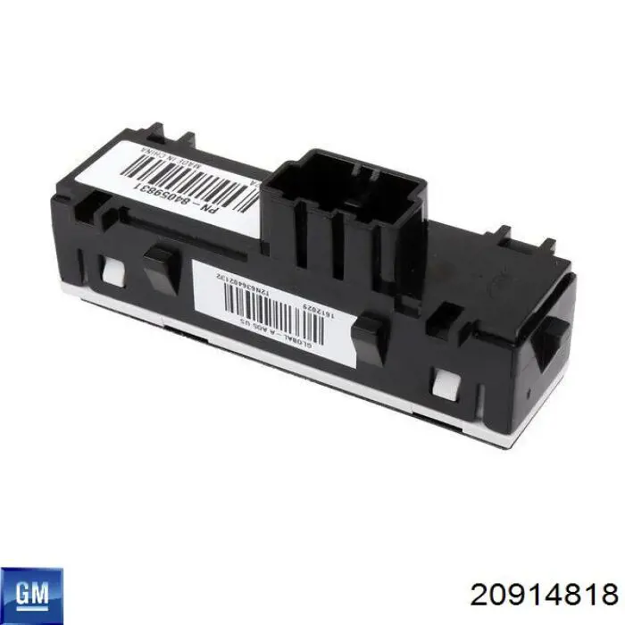 20914818 General Motors 