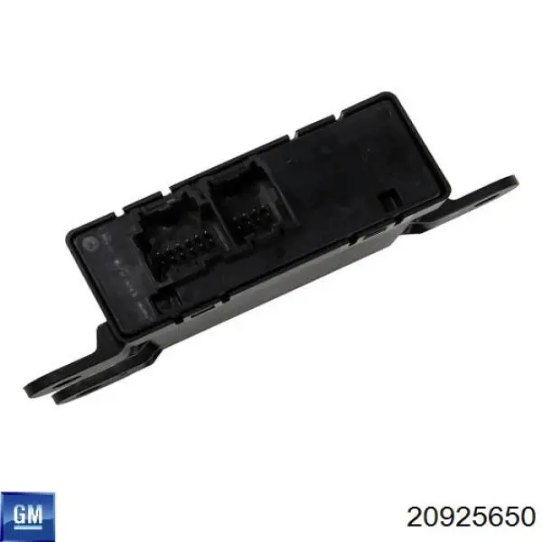 20925650 General Motors 