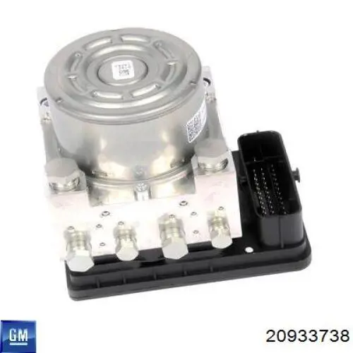 20933738 General Motors 