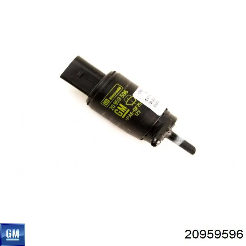 20959596 General Motors 