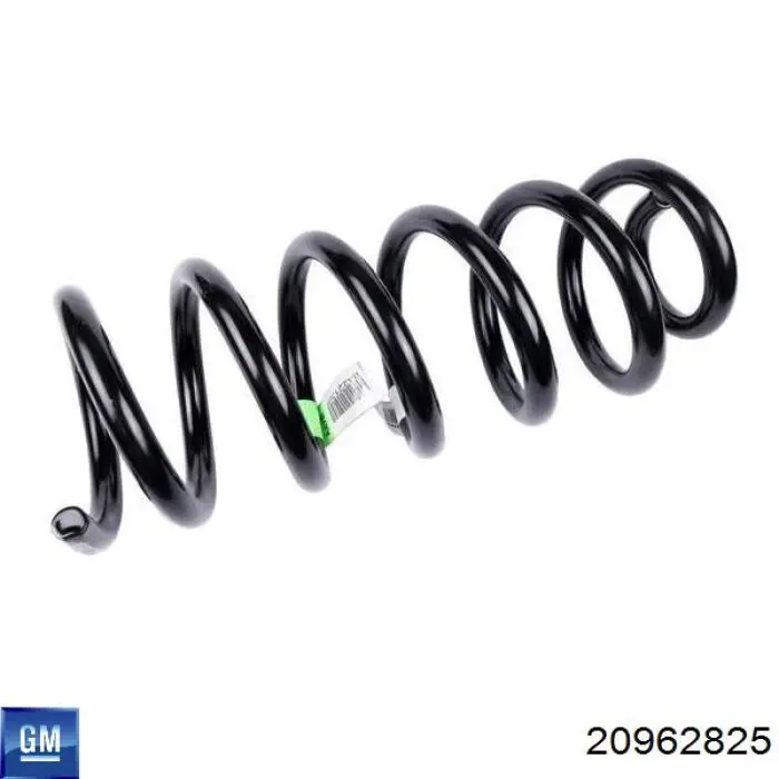 Купити 20962825 General Motors 