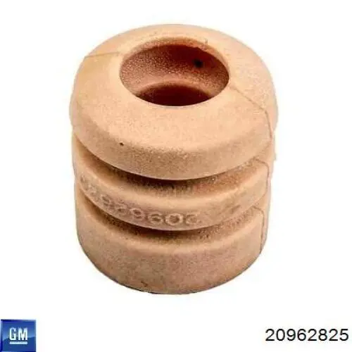 20962825 General Motors