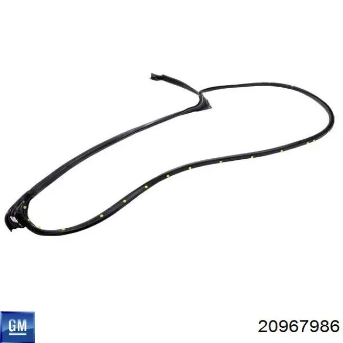20967986 General Motors 