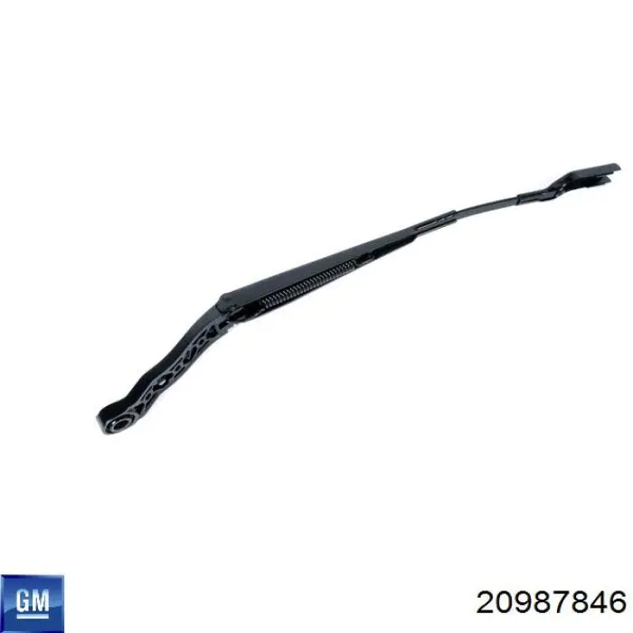 20987846 General Motors 