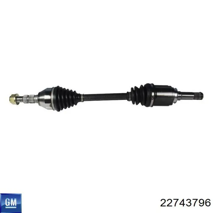  General Motors 22743796 ціна, від 138.26 USD
