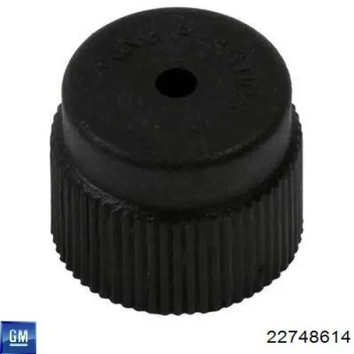 22748614 General Motors 