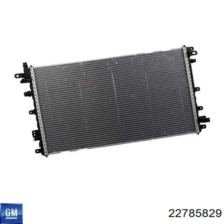 22785829 General Motors 