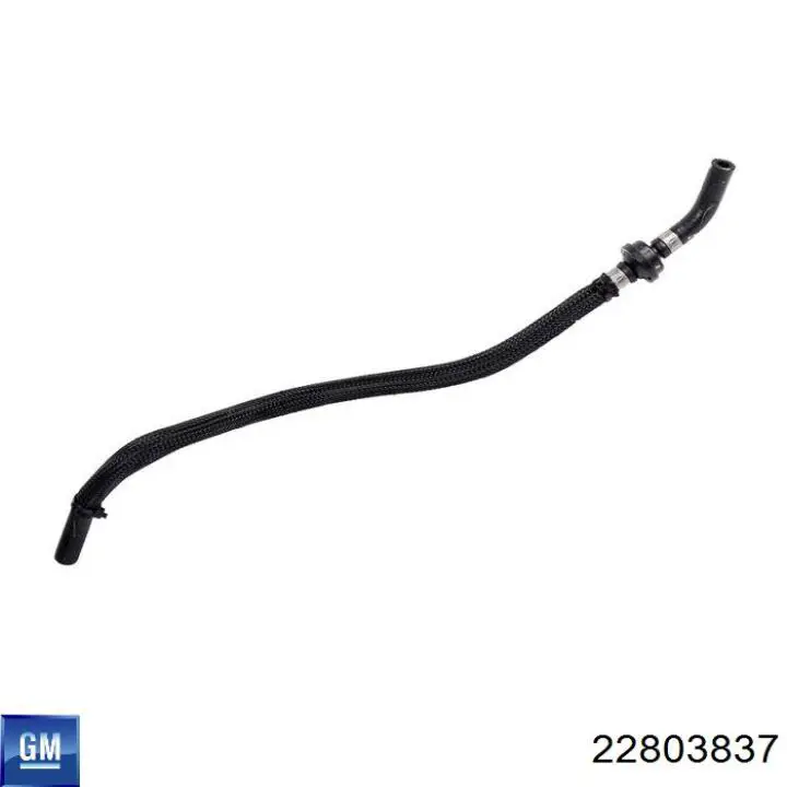 22886816 General Motors 