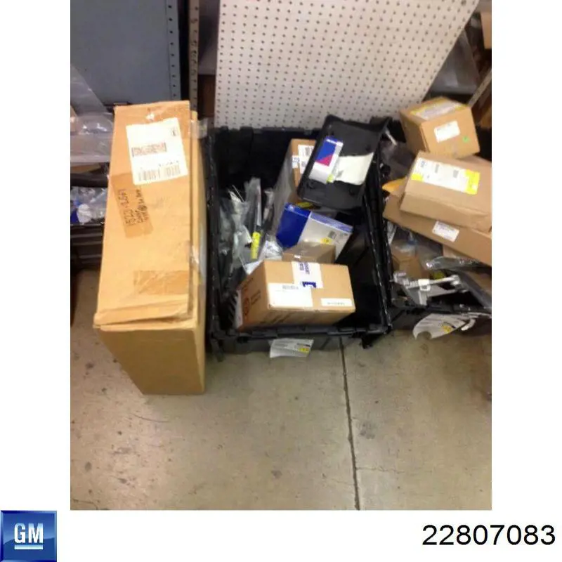 Купити 22807083 General Motors 