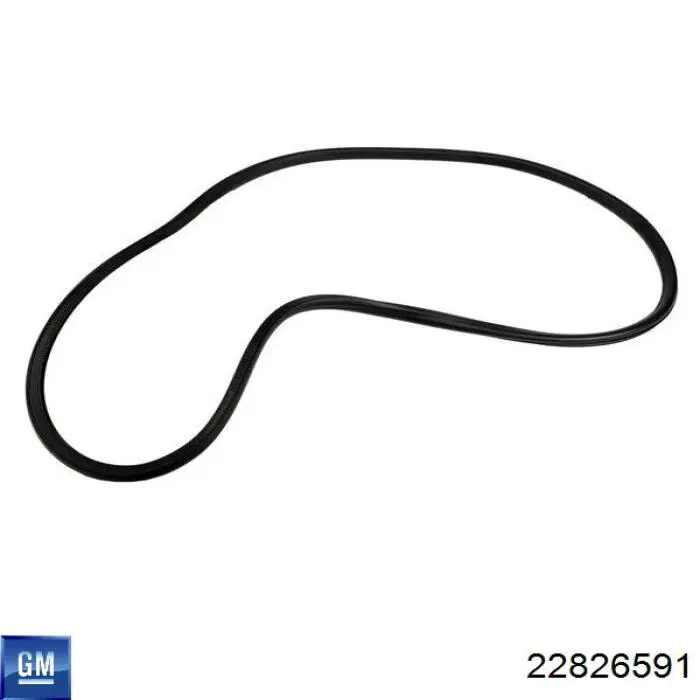 Купити 22826591 General Motors 