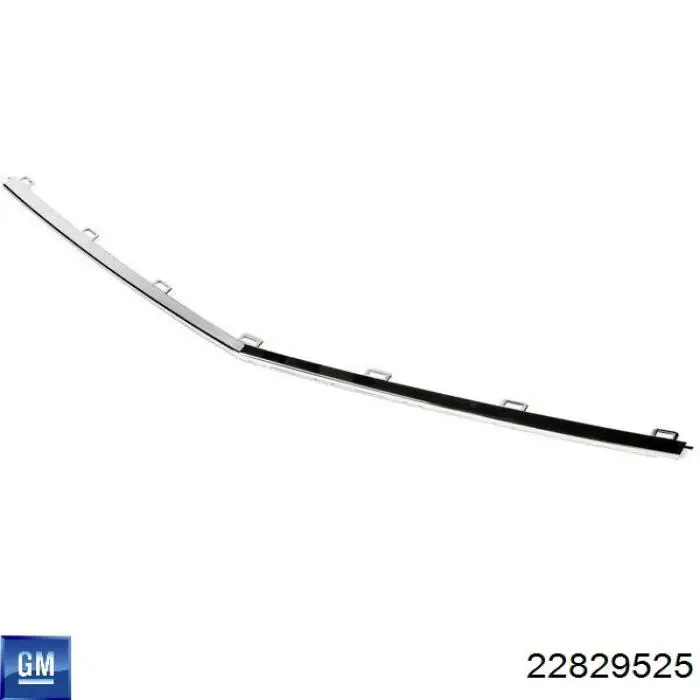 PCV04189CA Signeda 