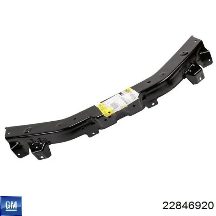Крила 22846920 General Motors