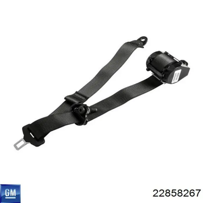 22858267 General Motors Подушка безпеки пасажира
