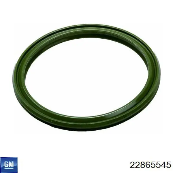 Купити 22865545 Opel 