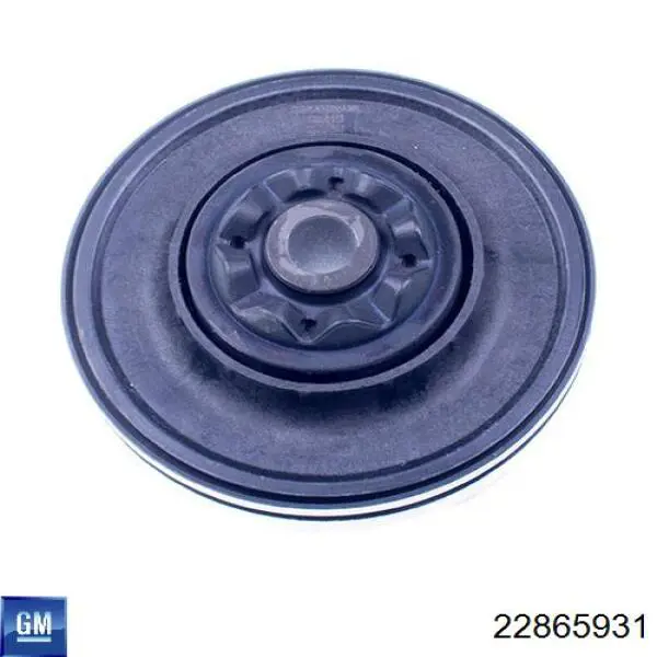Купити 22865931 General Motors 