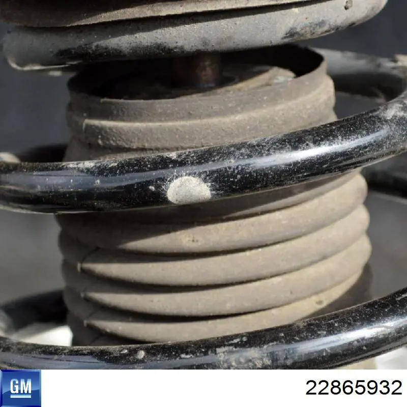 22865932 General Motors 