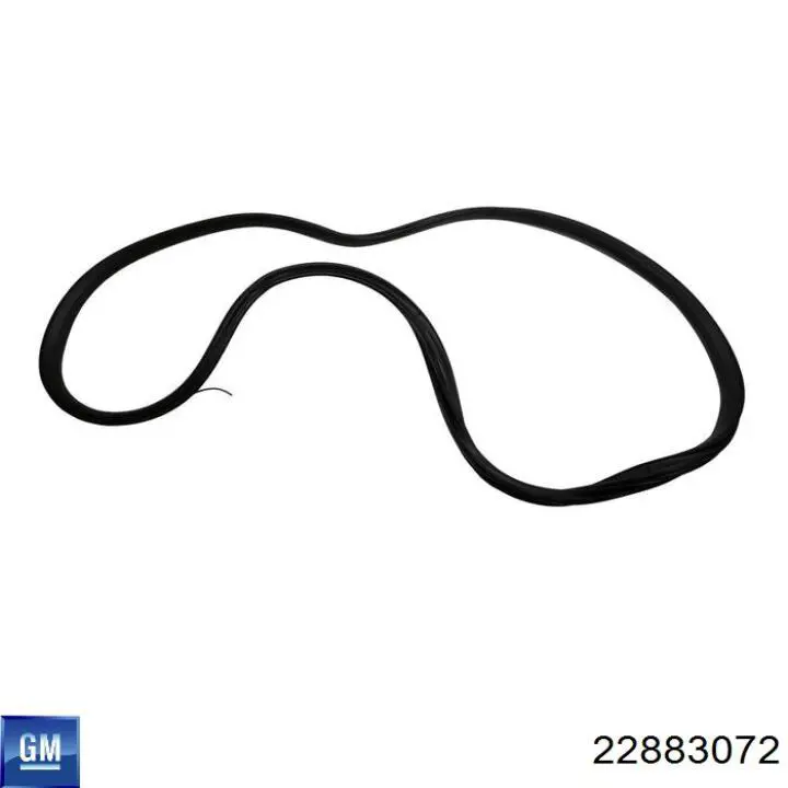 Купити 22883072 General Motors 