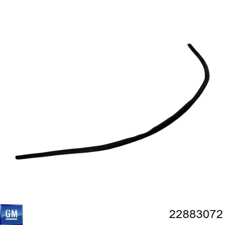 22883072 General Motors 