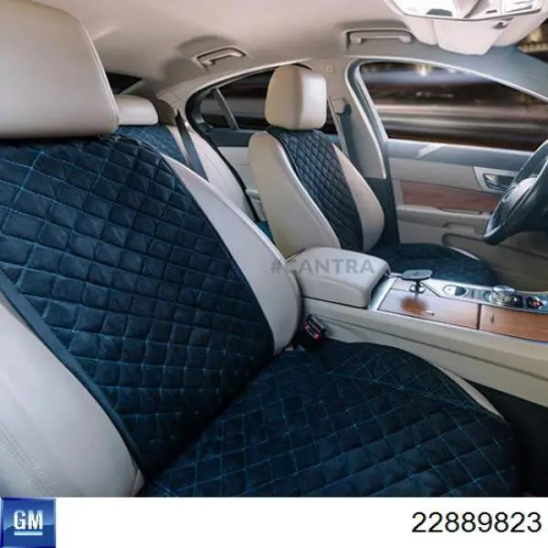 22889823 General Motors 
