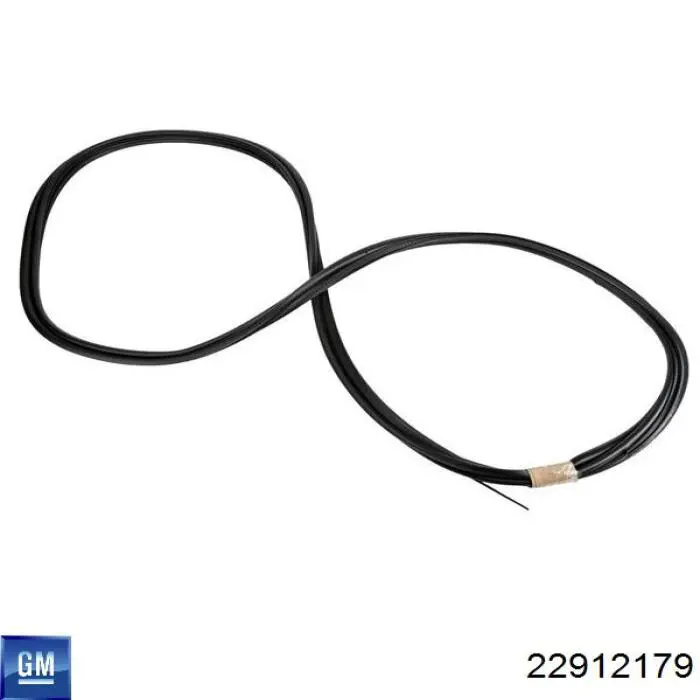 Купити 22912179 General Motors 