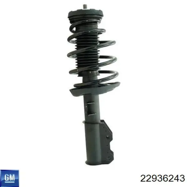  General Motors 22936243