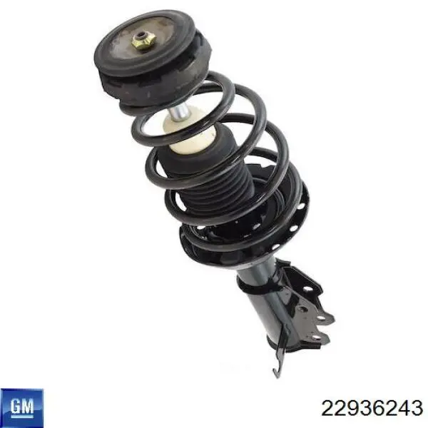 22936243 General Motors 