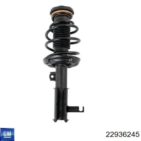  22936245 General Motors