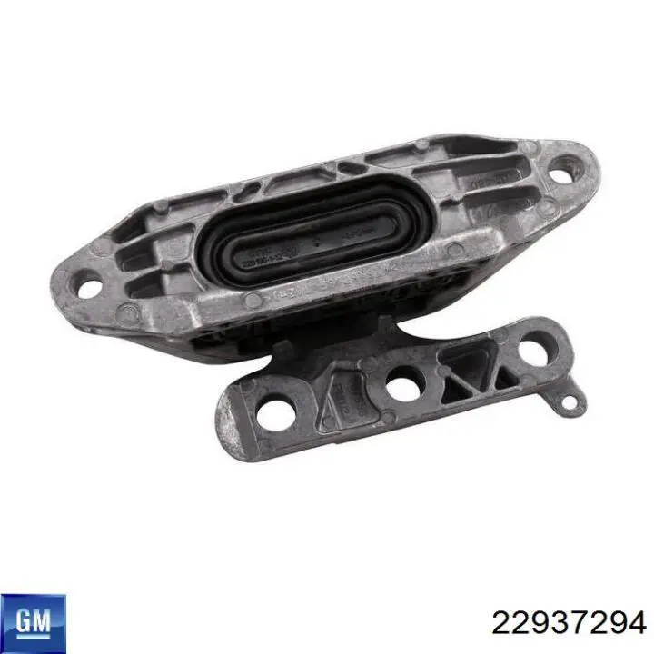 22937294 General Motors 