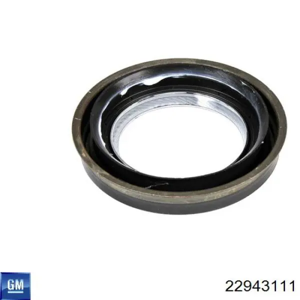  General Motors 22943111 ціна, від 34.12 USD