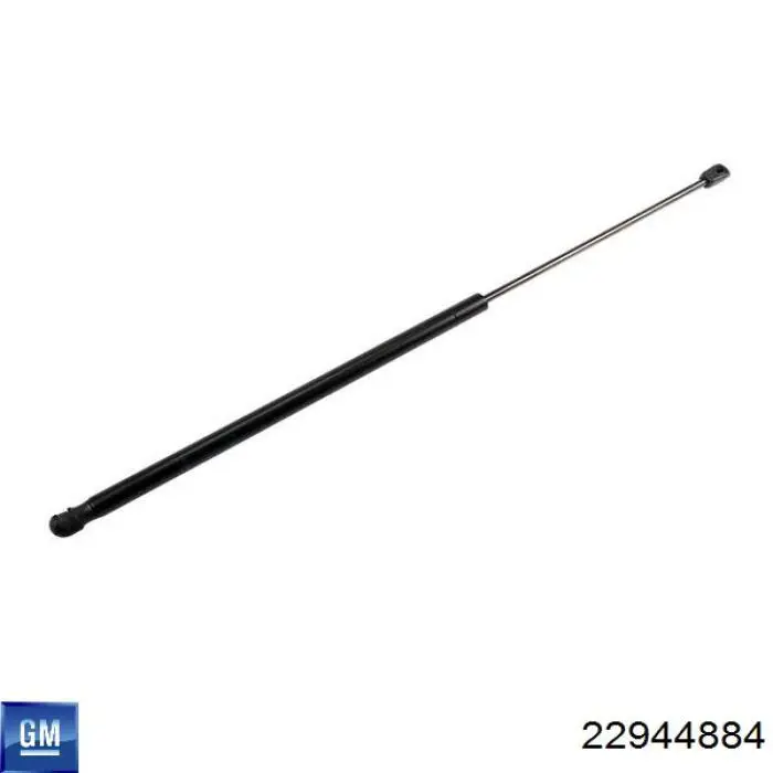 Купити 22944884 General Motors 