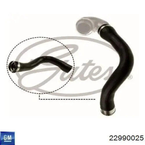 Шланг/патрубок інтеркуллера General Motors 22990025 ціна, від 48.12 USD