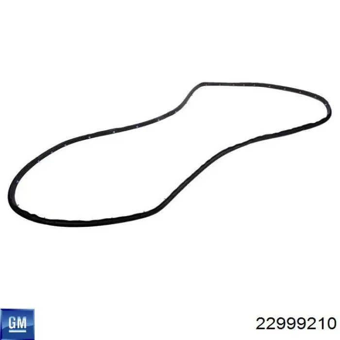 Купити 22999210 General Motors 