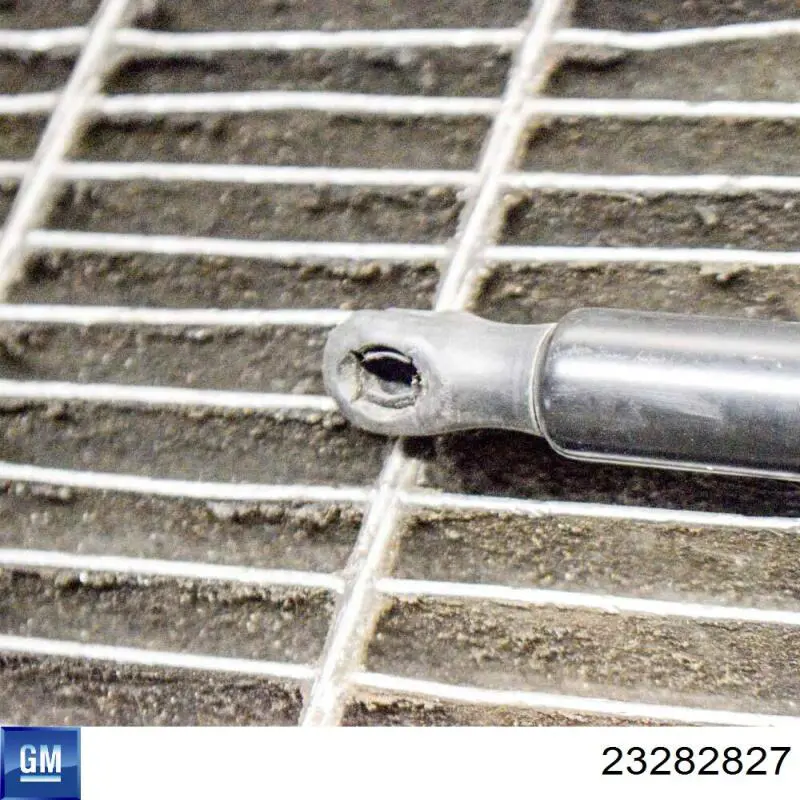 Амортизатор двері задньої General Motors 23282827 ціна, від 26.21 USD