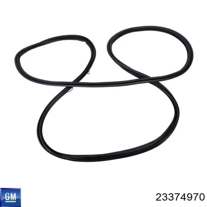 23374970 General Motors 