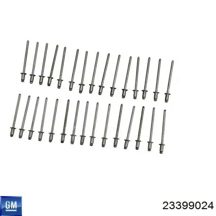 Купити 23399024 General Motors 